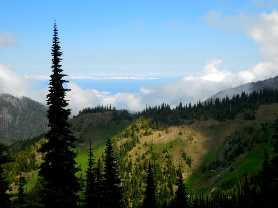 valley meadows hurricane hill alpine mountains c bubar august 01 2014