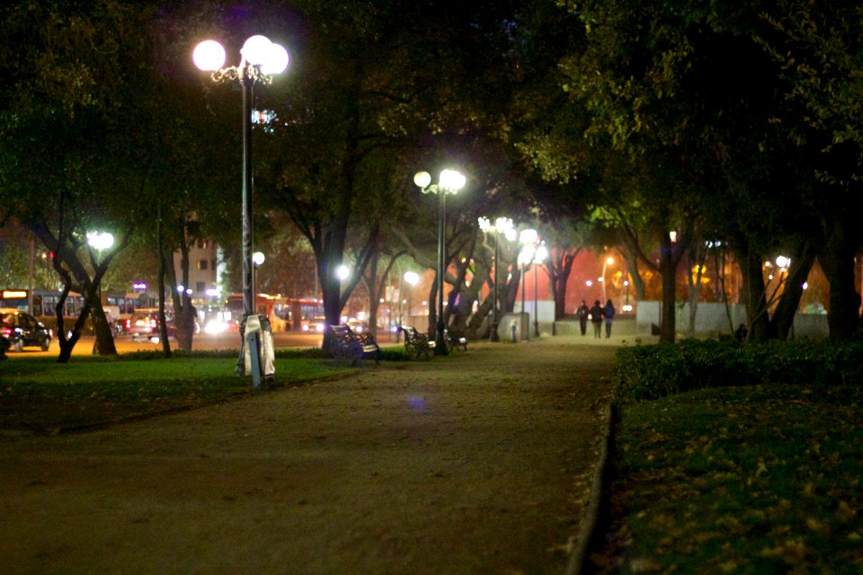 Noche por el parque