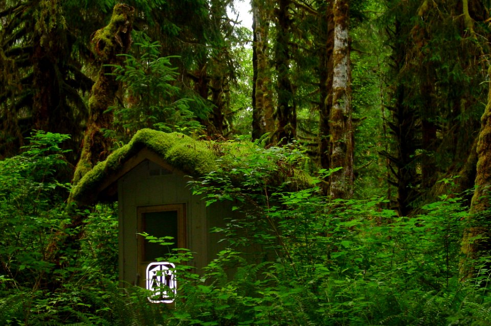 pittoilet backcountry infrastructure rainforest moss covered NPS Photo