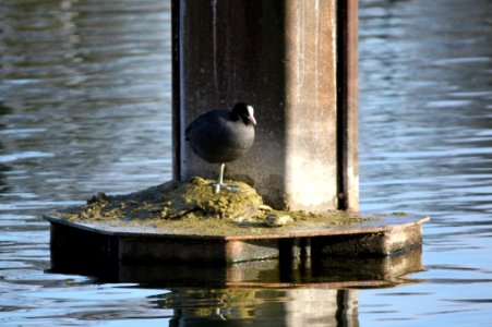 Duisburger Binnenhafen 21.März 2015 (69)