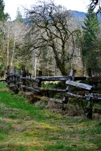 fence line kestner homestead historic quinault c bubar march 05 2015
