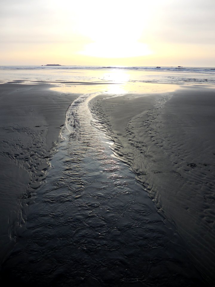 scenic sunset ruby beach coast c bubar march 04-2015