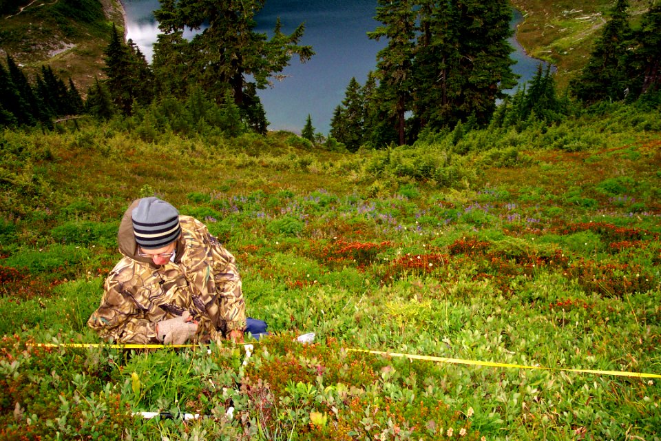 Dave Measures Berries work plants NPS Photo 2003