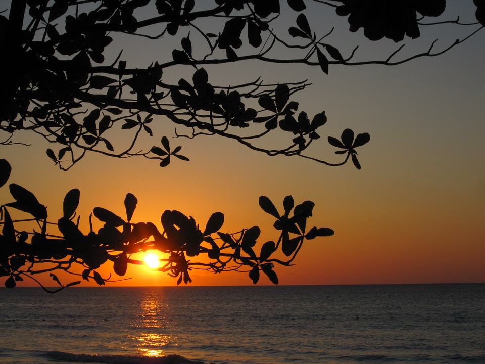 Water evening ocean photo