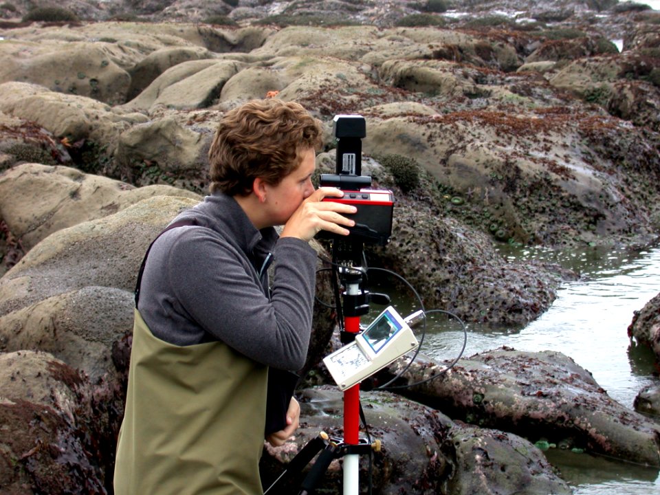 Starfish Pt TubeWorm Monitoring 21