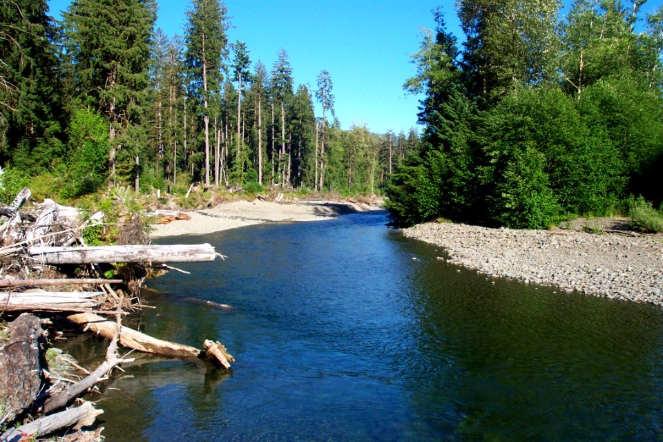 Bogachiel river NPS Photo 2005