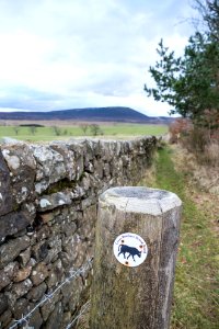 East Cairn Hill from Little Vantage