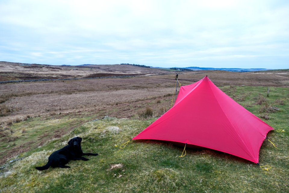 Trailstar and Inca at Kilmacfazdean