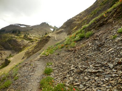 hurricane hill trail hiking alpine c bubar july 2014