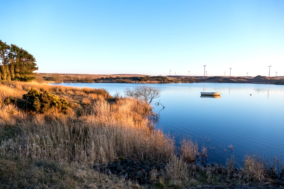 Rowing Boat at Knockquhassen