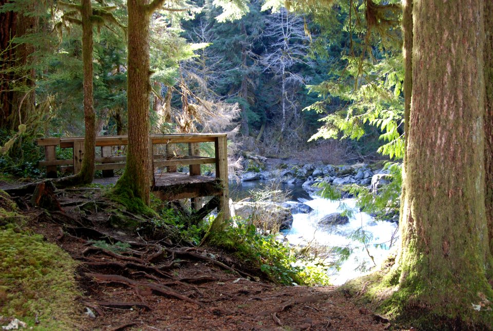 Sol Duc river overlook salmon cascades c bubar march 05 2015
