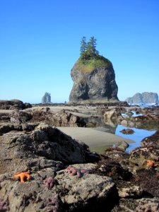 scenic seastars seastack ocean tidepool second beach BBaccus photo