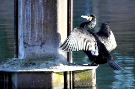 Duisburger Binnenhafen 21.März 2015 (65)