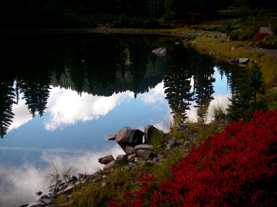 art reflection lake reflection fall BBaccus NPS Photo