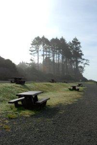 campsites picnic tables south beach campground camping c bubar march 05 2015
