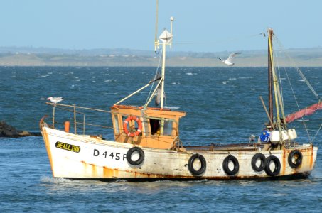 Howth trawler photo