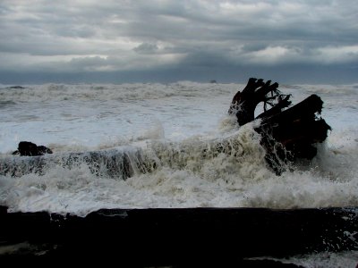 rialto log  0841