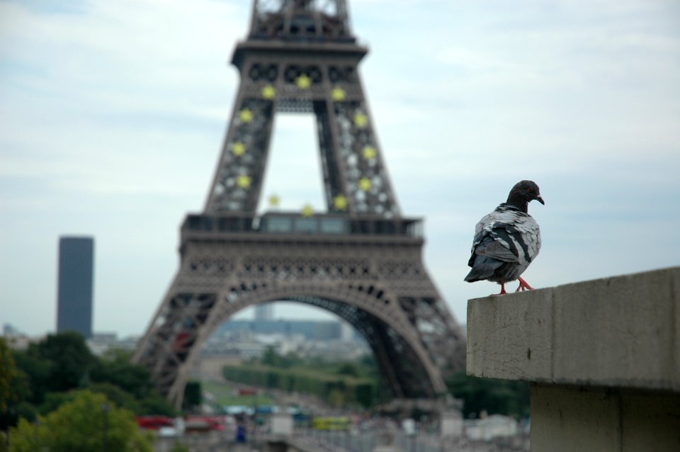 Paris and friends