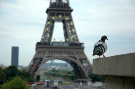 Paris and friends