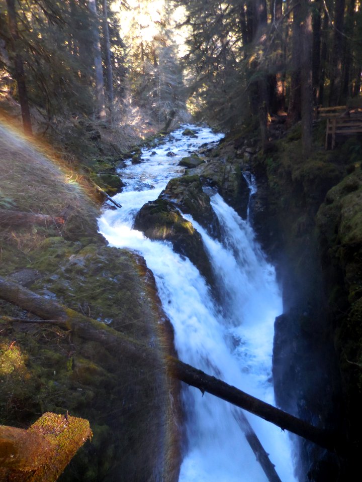 rainbow sol duc falls trail scenic c bubar march 04-2015