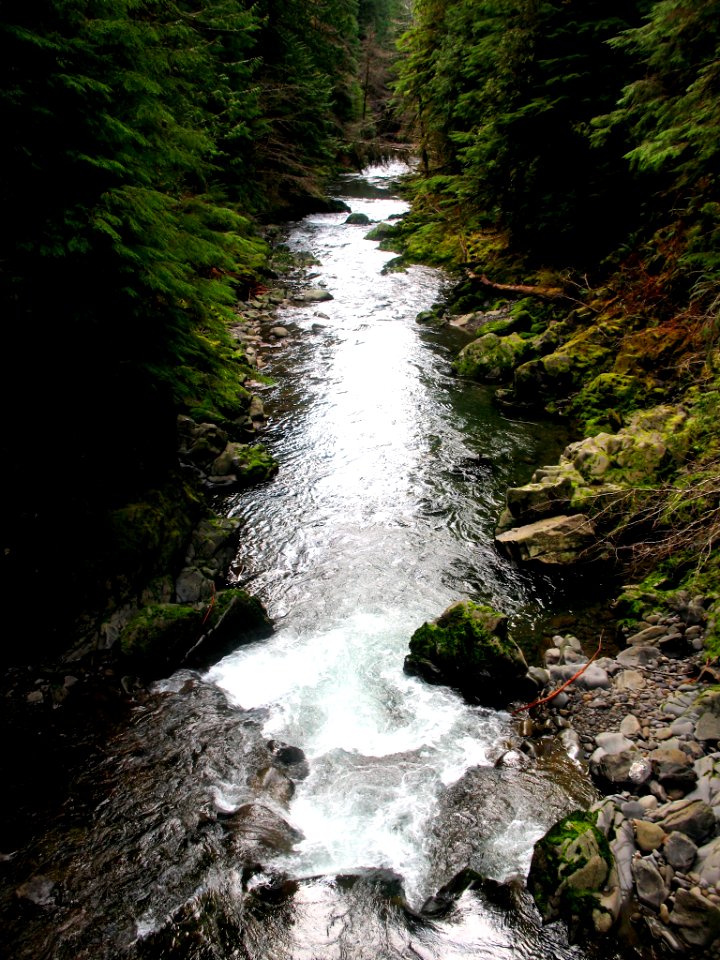 art river forest WIC NPS photo
