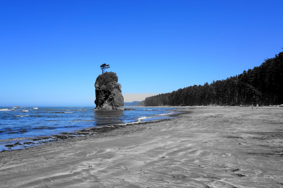 blue grey cove norwegian seatack beach coast d archuleta 2015