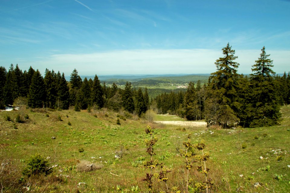 Randonnée des crêtes de Jura