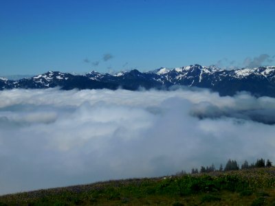 clouds blue sky hurricane ridge mountains alpine c bubar august 01 2014 photo