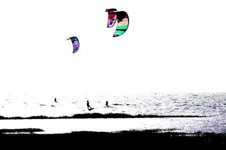 3 kites photo