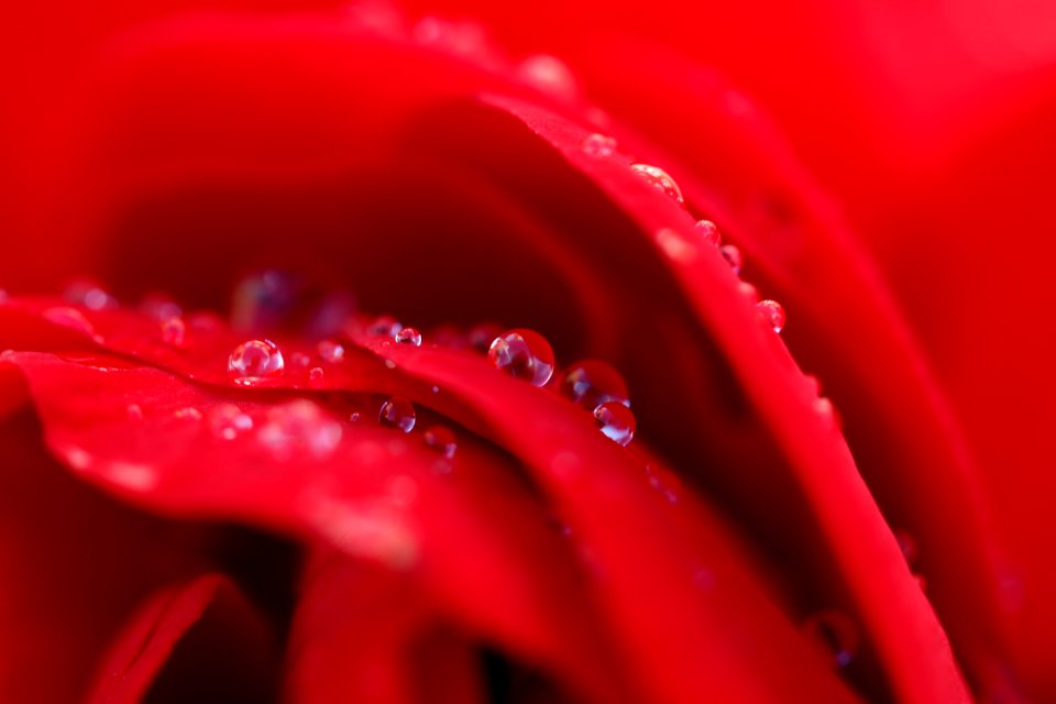 Water drops