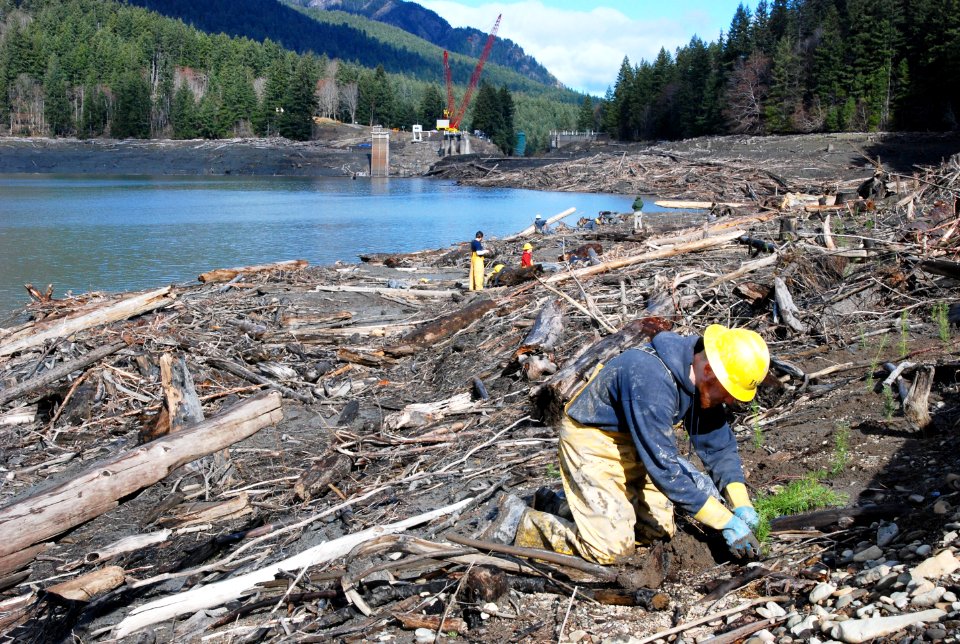 Elwha river people planting revegetation NPS Photo photo