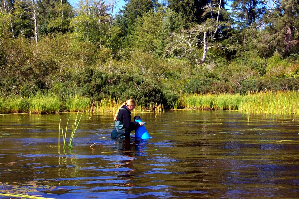 Rangers working monitoring fish lake NPS Photo 2003