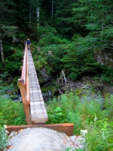 bridge backpacker log people NPS Photo