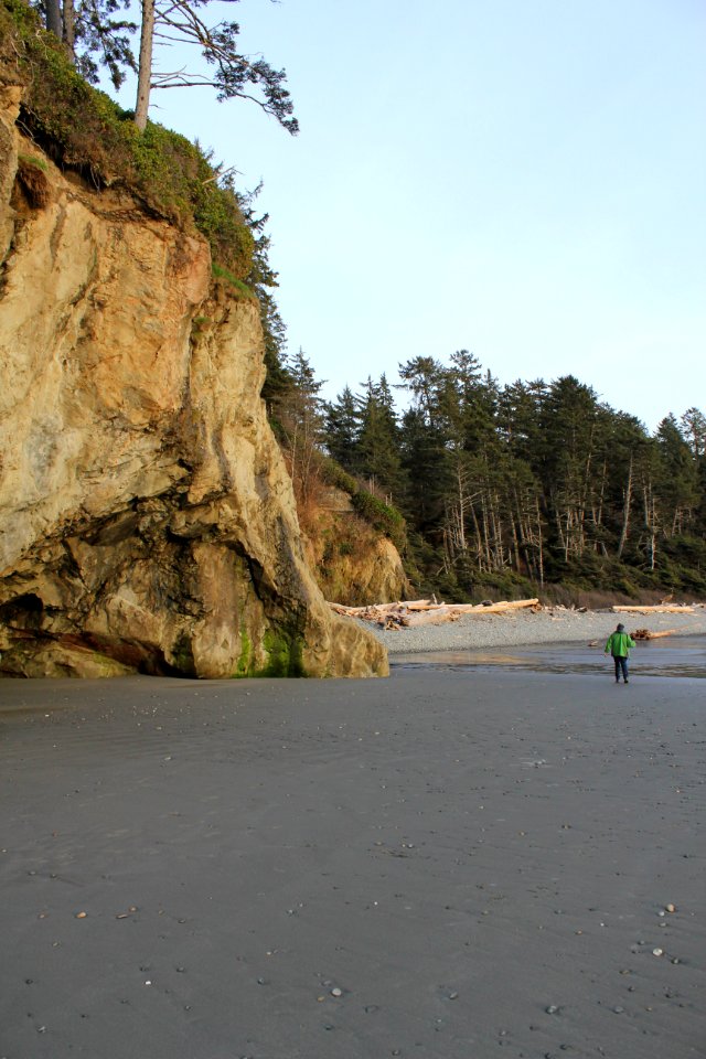 bluffs visitor walking sunset ruby beach coast d archuleta march 04 2015