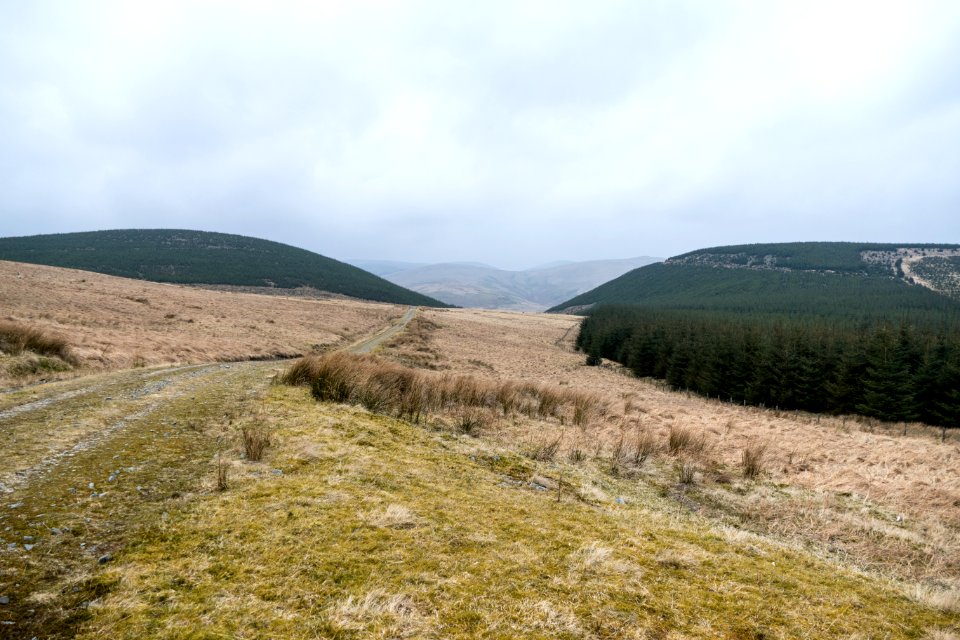 Looking back to Lowther Hill from Coom Rig