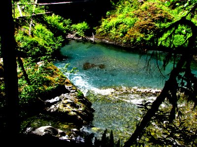 quinault river color summer ssheltren nps photo