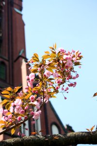 IMG 4877