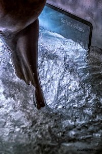 20160726- ROV6346-bewerkt