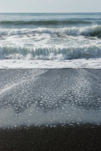 waves breaking tideas rialto beach c bubar march 06-2015