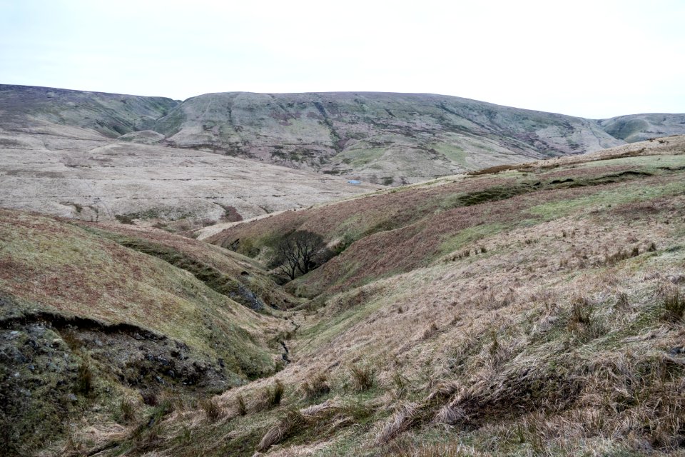 Looking across towards Willowgrain Hill