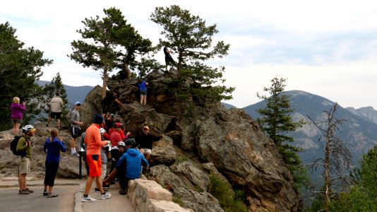 Rocky Mountain Visitors