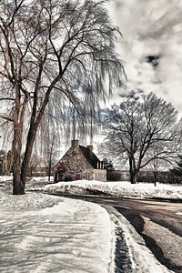 Tree snow winter landscape photo