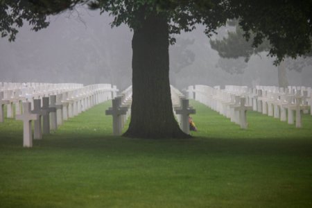 memories and respect