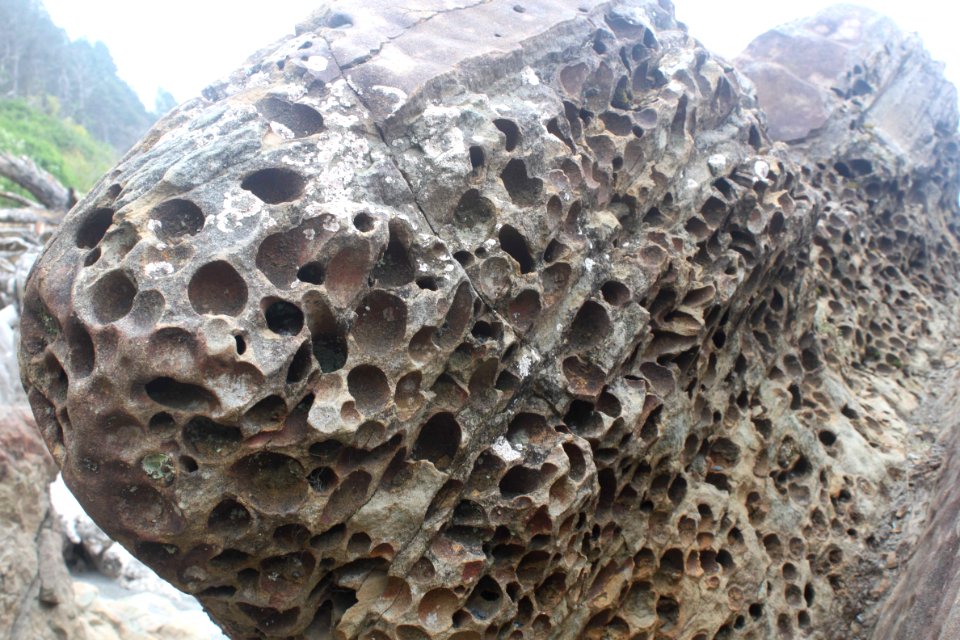 pitted rock geology beach pzaidel credit required