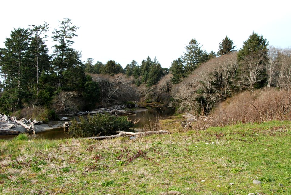 kalaloch creek coast lodge d archuleta march 05 2015