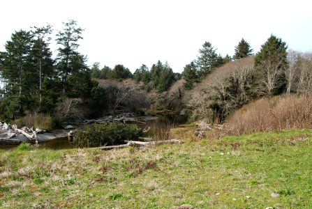 kalaloch creek coast lodge d archuleta march 05 2015