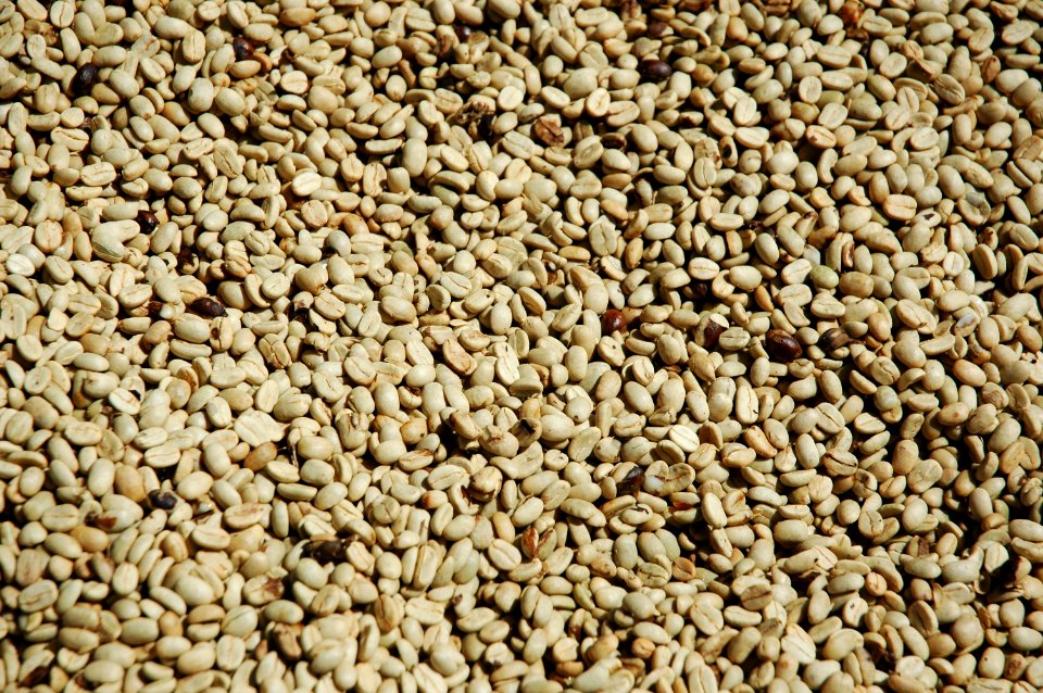 Coffee beans