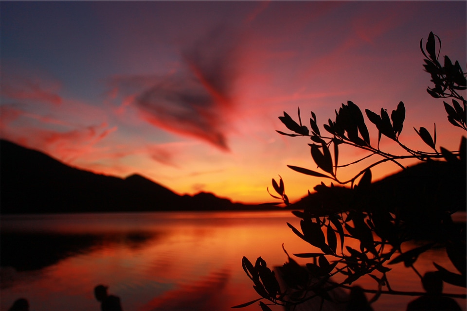 Lake water silhouette