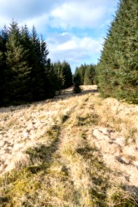 Southern Upland Way towards Shield Rig near St Johns Town of Dalry