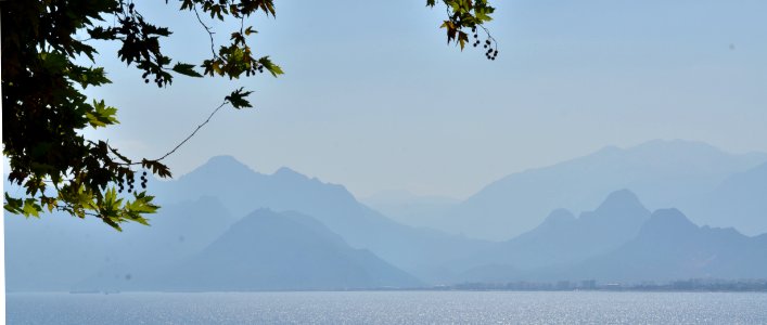 DSC 2370